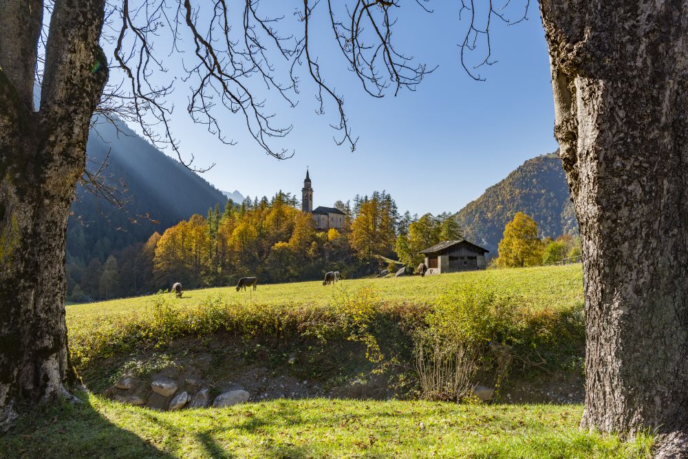 Bregaglia Valley