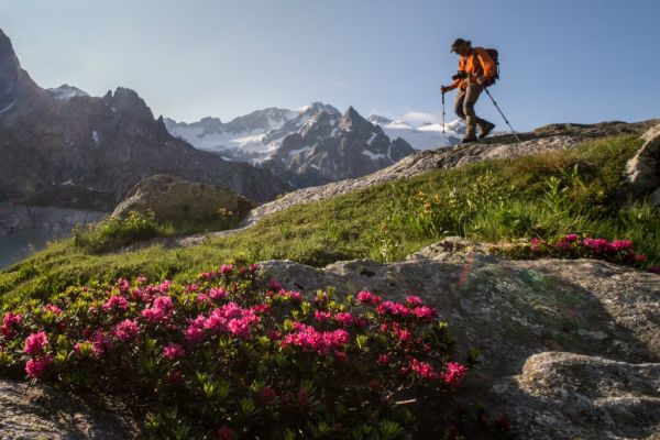 Trekking
