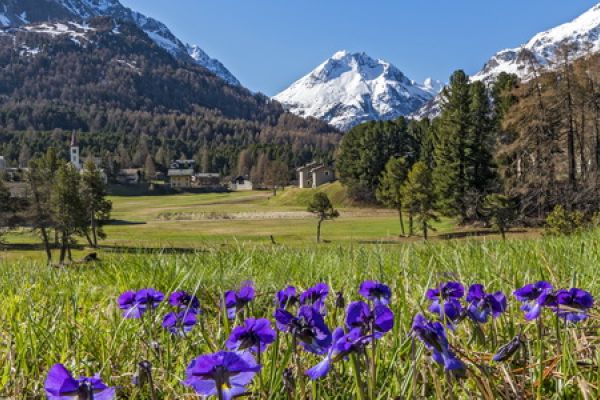 Maloja and Isola